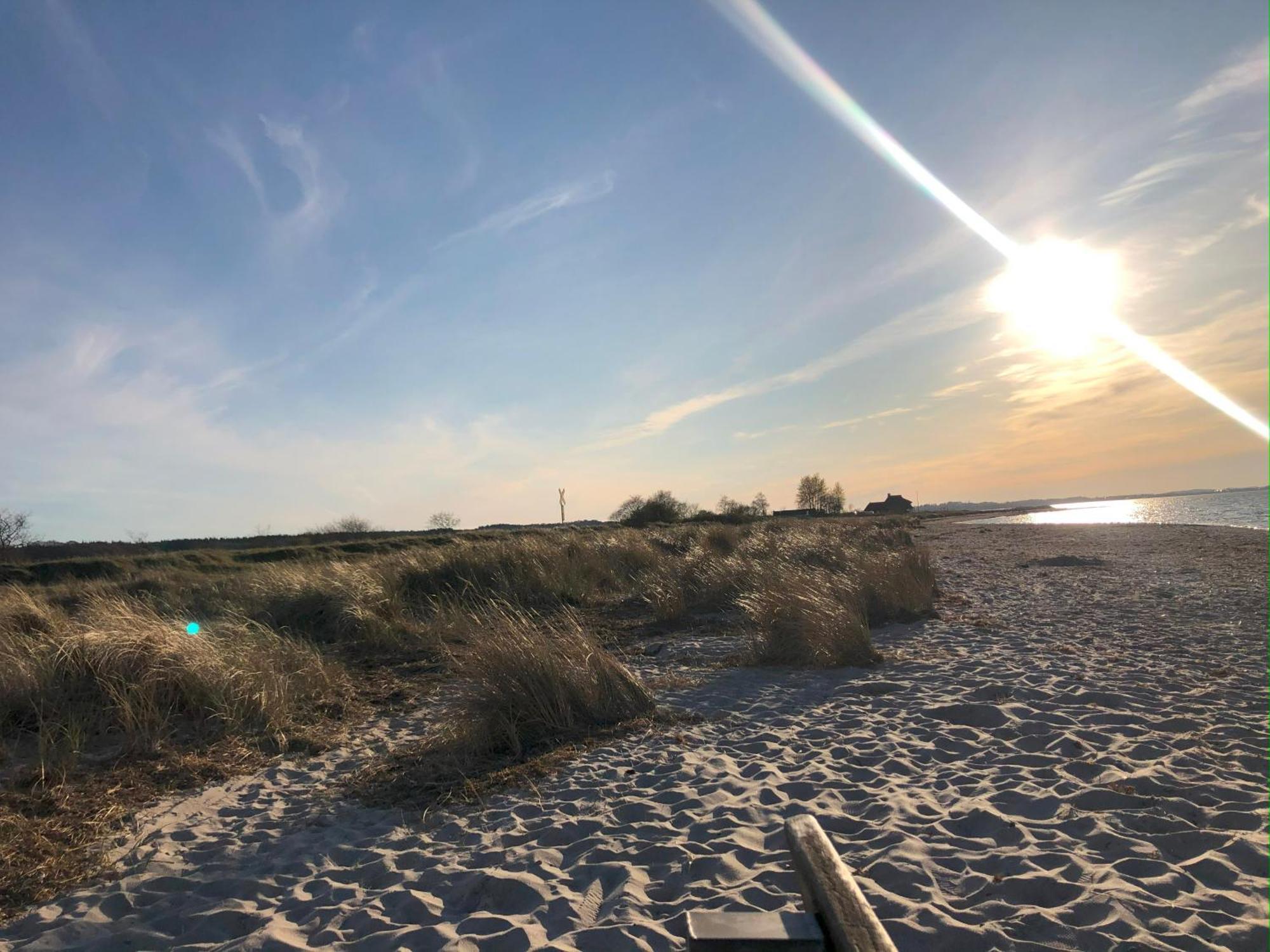 Neue Ferienwohnung An Der Ostsee,Terrasse,Sauna Surendorf 外观 照片