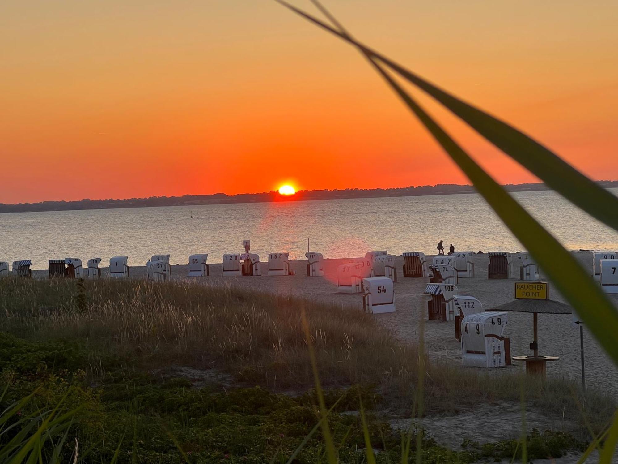 Neue Ferienwohnung An Der Ostsee,Terrasse,Sauna Surendorf 外观 照片